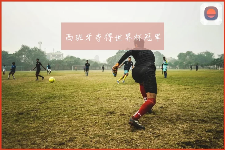 西班牙夺得世界杯冠军