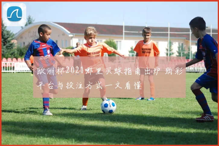 欧洲杯2021哪里买球指南出炉 购彩平台与投注方式一文看懂