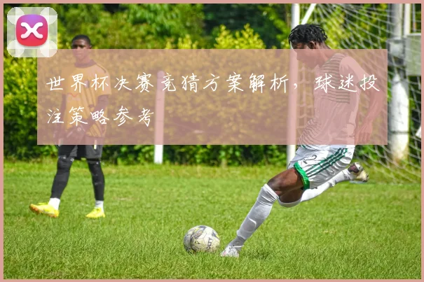 世界杯决赛竞猜方案解析,球迷投注策略参考